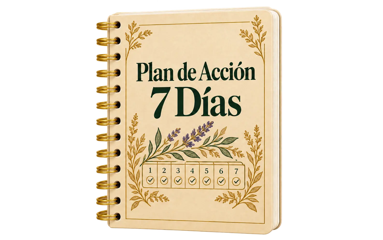Plan de Acción 7 Días