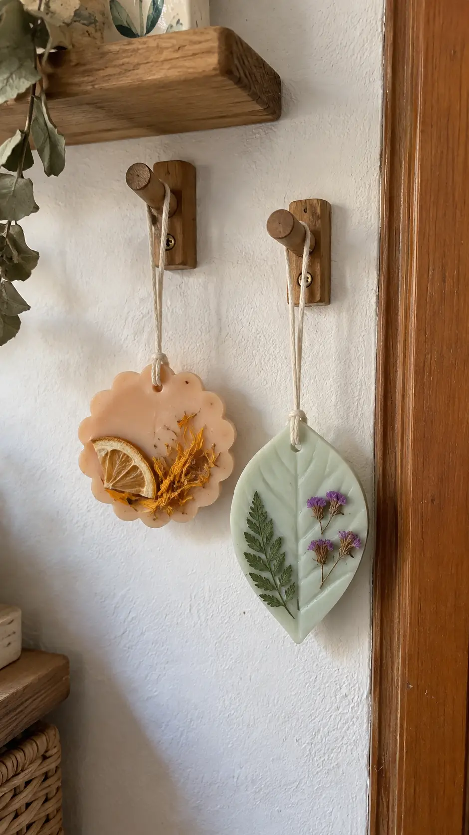 Placas botánicas aromáticas, imagen 4